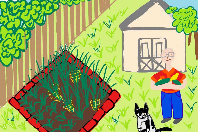 Drawing of a man in a garden with his cat